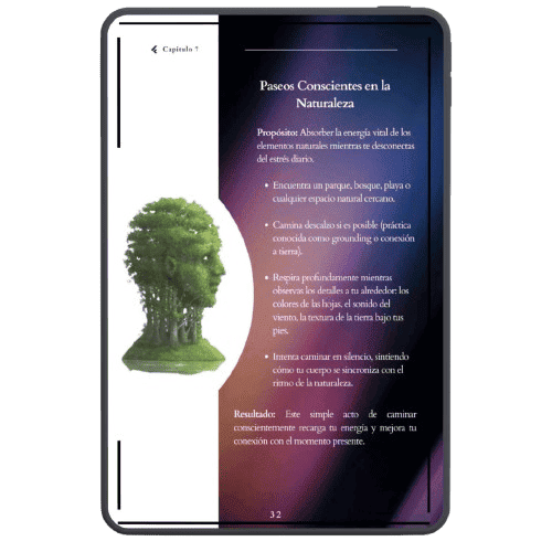 0. Mockup Libro Por Dentro (6)